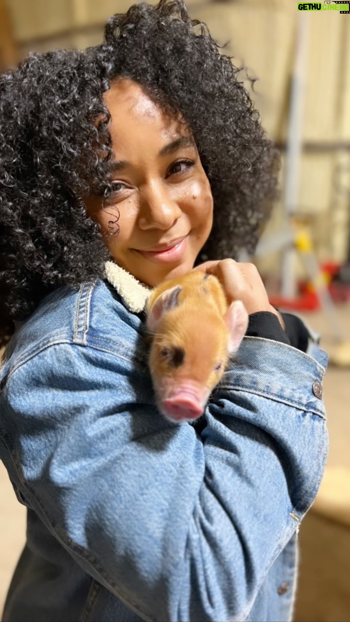 Latonya Williams Instagram - I left my heart in Texas♥️🤍💙 Not pictured - all the other amazing people from Self-Perfected that I met on the ranch. Luckily we meet and chat every Friday about how we can be the best versions of ourselves, reprogram our minds, have the best relationships, make the most money, and have the greatest impact on the world 🌎 Sound intriguing? You’re welcome to join us too - hit me up and I’ll send you the link. (Prepare to be red-pilled😉) You’re the average of the people you spend the most time with - choose wisely 😉 Calls are every Friday at 3:00pm pacific/5:00pm eastern. ** Special thanks to @realcameroncope @technokatie for welcoming us to your home Where my self-perfecters at??! 🙌🏾 #selfperfected #personaldevelopment #lifecoaching #bethebestversionofyourself #changeyourmindset #changeyourthoughts #changeyourselfchangetheworld #awaken