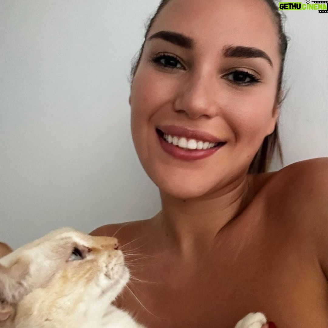Laura Gallego Cabezas Instagram - Llegó hace 6 años y sigue conquistándome cada día… Es el más bueno del mundo, el más cariñoso y el más mimado 💘 Estoy enamorada de esta fábrica de amor 💘 #whiskyymami