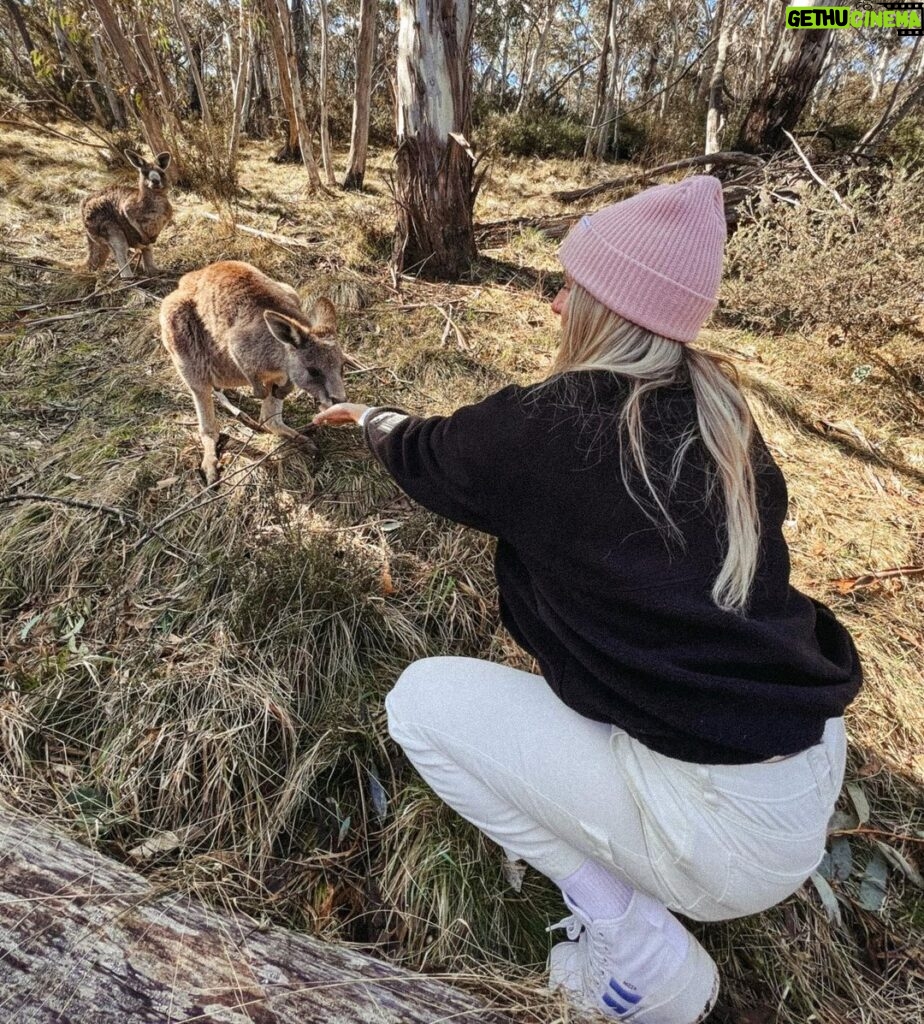 Laurie Blouin Instagram - Down days in Jindy making new friends 🦘 #Downdays #Australia #Roos Jindabyne, New South Wales