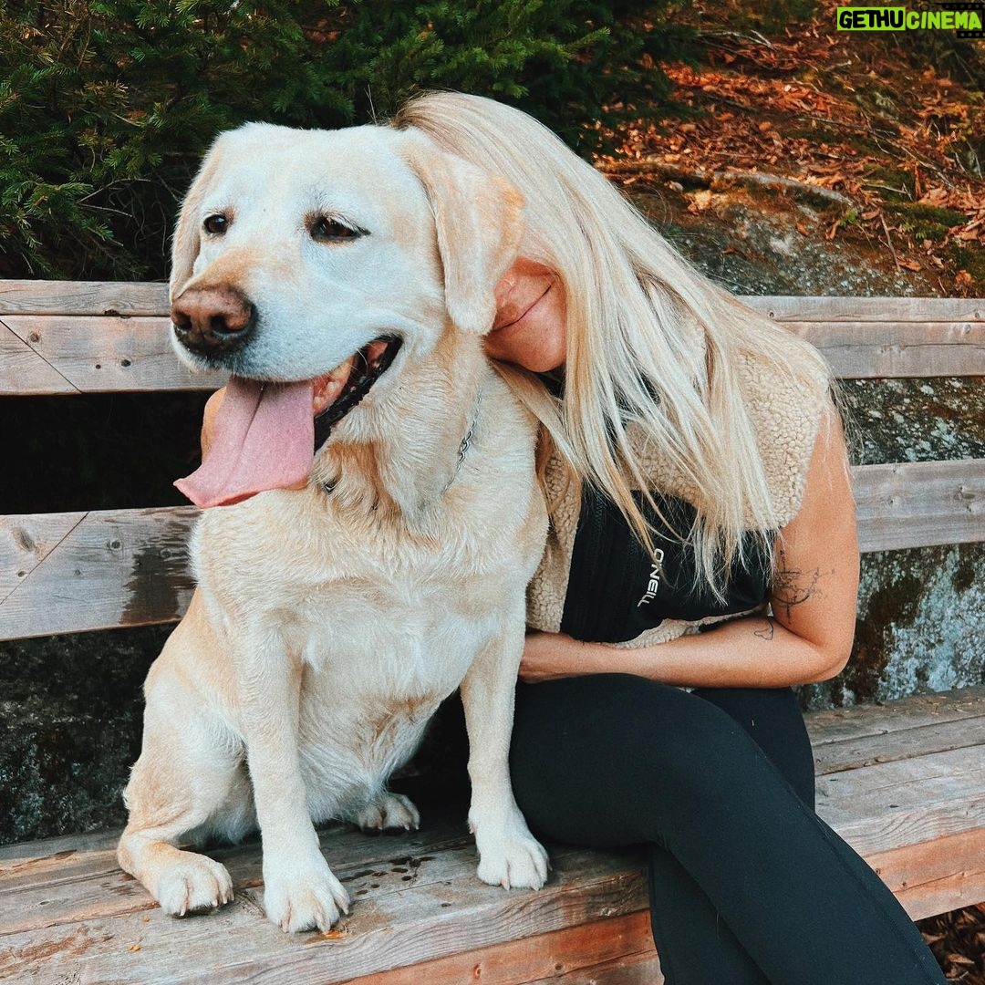 Laurie Blouin Instagram - πΆπ«Άπ»π #Autumn #Hike #TiFifille