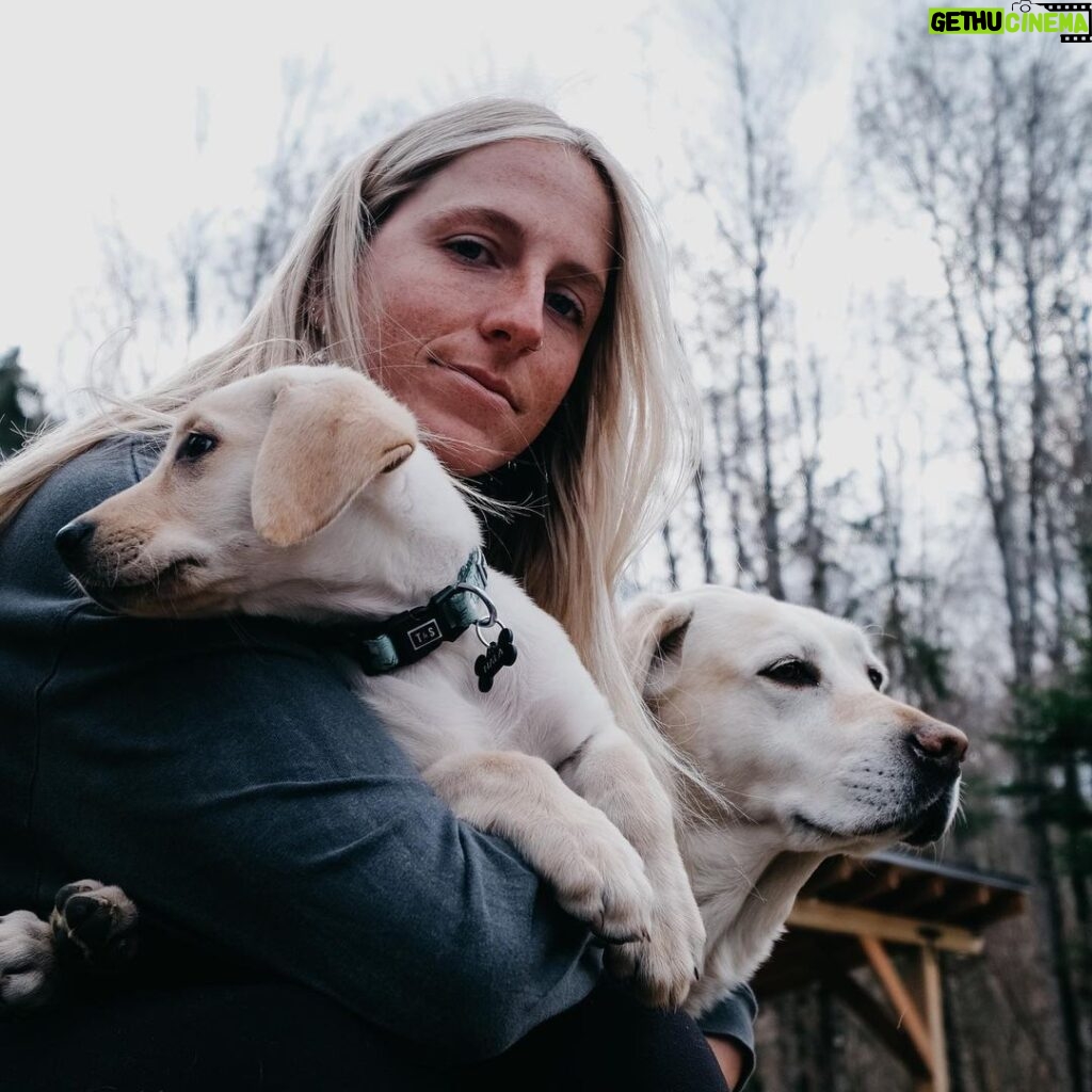 Laurie Blouin Instagram - Newest family member 🥹🐶 #Nala #BlondLabrador