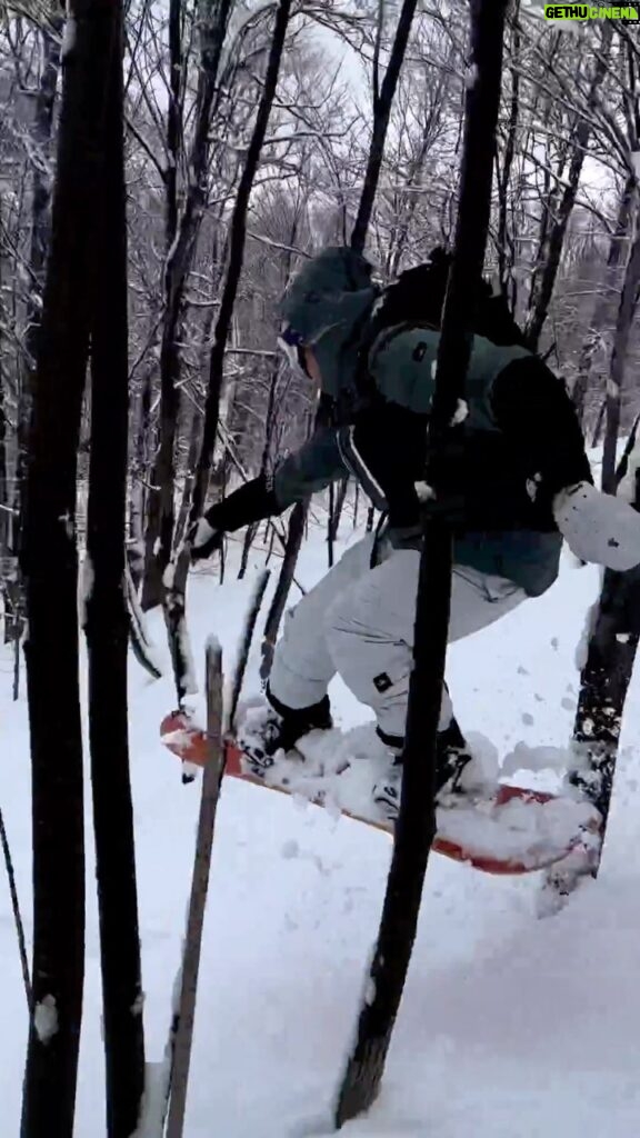 Laurie Blouin Instagram - Lot of bushes but a lotta fun🤪 That’s the kind of backcountry you get in Quebec😂 #Snowboarding #Backcountry #GoodTimesWithGoodPeople