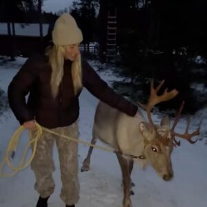 Laurie Blouin Instagram - Reindeers, snowboarding and northern lights 🙌🏻🤍 #Finland #Snowboarding #WinterWonderland