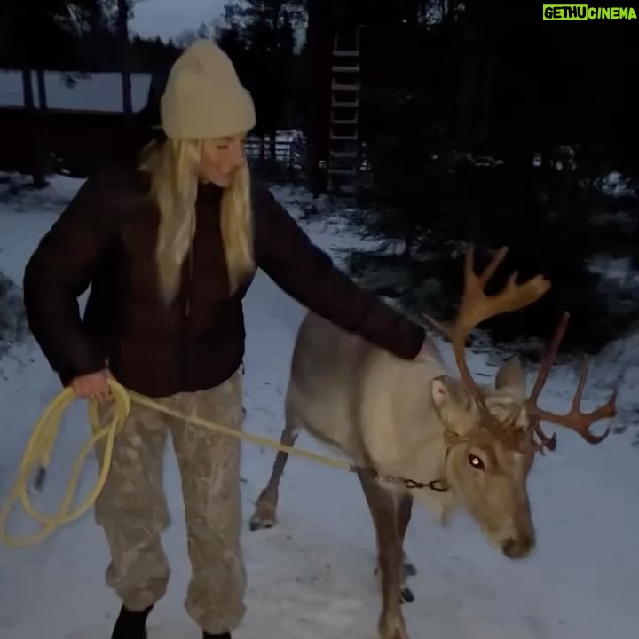Laurie Blouin - 2.1K Likes - Reindeers, snowboarding and northern lights 🙌🏻🤍 #Finland #Snowboarding #WinterWonderland