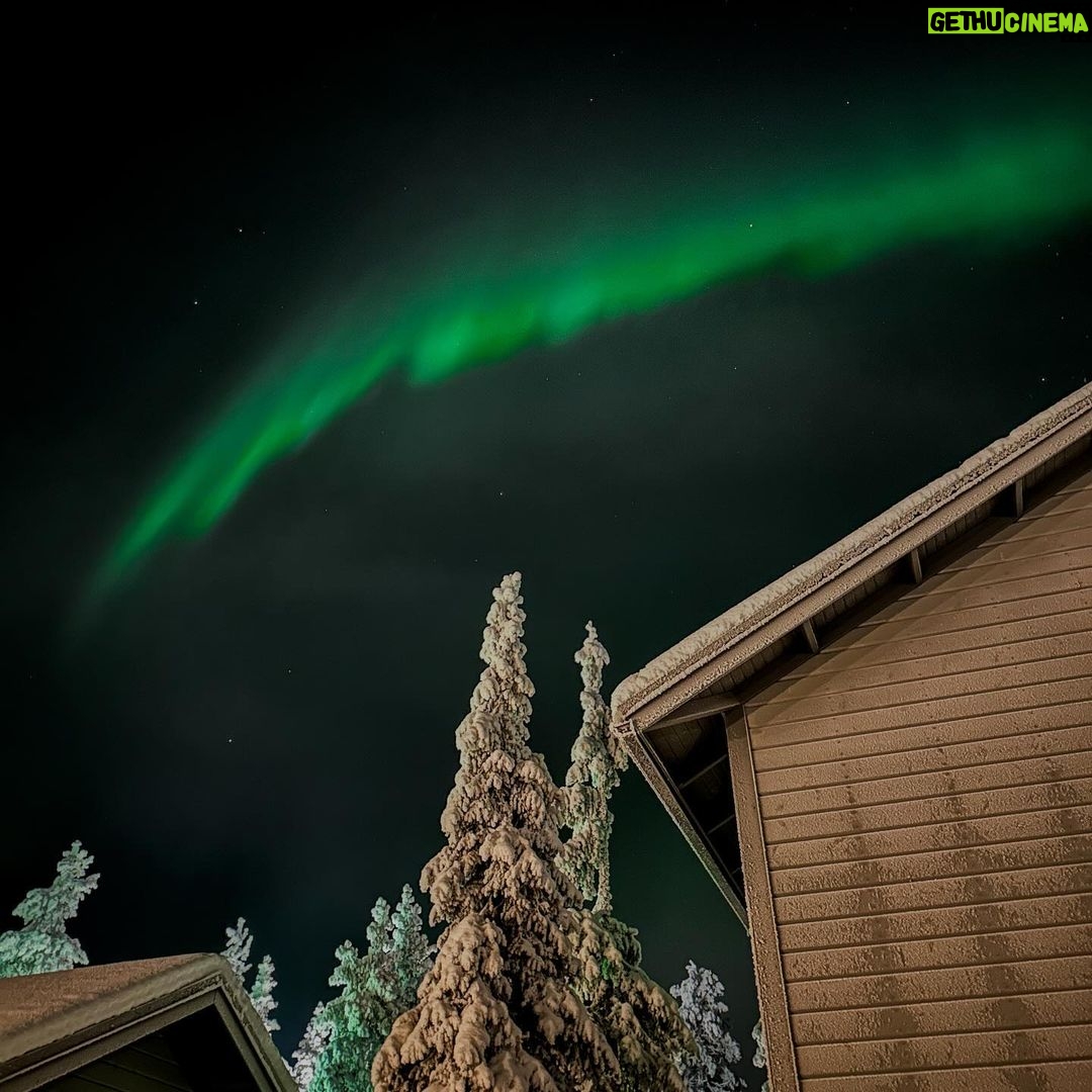 Laurie Blouin - 2.1K Likes - Reindeers, snowboarding and northern lights 🙌🏻🤍 #Finland #Snowboarding #WinterWonderland