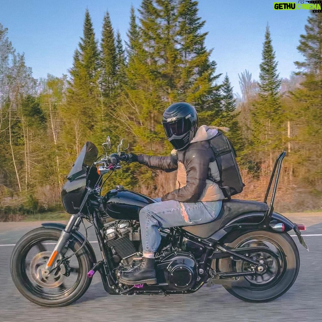 Laurie Blouin - 1.7K Likes - In love with my new bike 💜
Thank you so much @premontharley & @originalgaragemoto 🫶🏻
.
.
En amour avec ma nouvelle moto😍
Merci beaucoup @premontharley & @originalgaragemoto ❤️🔥
#HarleyDavidson #Softail #Bike