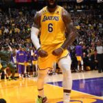 LeBron James Instagram – If you ever see me fighting in the forest with a Grizzly bear, HELP THE BEAR 👑
