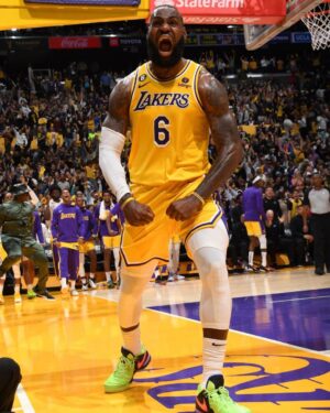 LeBron James Instagram - If you ever see me fighting in the forest with a Grizzly bear, HELP THE BEAR 👑