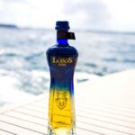 LeBron James Instagram – WOW WOW WOW!! Introducing Lobos Tequila 1707 Limited Edition Añejo. It’s truly a masterpiece!! Launching in select markets and truly a collectables bottle. The design is stunning, with blue, clear, and gold elements, sealed with a dark blue wax cap. Limited quantities available. My GOODNESS she looks so beautiful!!! 😍😍😍😍😍😍 @lobos1707 🐺🐺🐺🐺🗣️🗣️