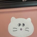Lee Jin-ah Instagram - 틈틈이 잘 놀기 헤헷 또 뭐하구 놀지? 나랑 놀사람 🐸