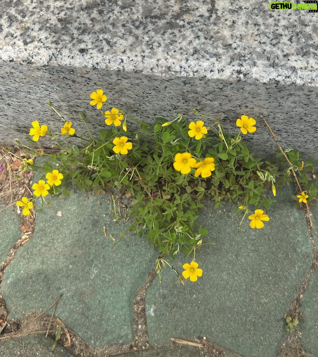 Lee Jin-ah Instagram - 🌷Have a good day🧸요즘 찍은 사진들 올려보기