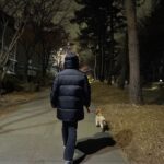 Lee Jin-ah Instagram - 요즘 사진첩엔 이런것들이 있당. . . 🤓 1.빨리 집에 가자 부탁하는 중 2.예전에 만든 수저받침을 잘 안쓰다가 오늘은 한번 써봐야지 하고 쓴날 기념으로 찍었다! 3.낡은 성경책을 10년 넘게만에 리폼 해보았다 4.밥 먹을때마다 항상 먼저 와서 음식 원하는 밤이 5.집에 있는 인형은 모조리 밤이의것이 되어버렸다 6.조아 조아 산책 조아