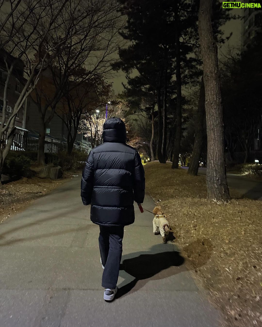 Lee Jin-ah Instagram - 요즘 사진첩엔 이런것들이 있당. . . 🤓 1.빨리 집에 가자 부탁하는 중 2.예전에 만든 수저받침을 잘 안쓰다가 오늘은 한번 써봐야지 하고 쓴날 기념으로 찍었다! 3.낡은 성경책을 10년 넘게만에 리폼 해보았다 4.밥 먹을때마다 항상 먼저 와서 음식 원하는 밤이 5.집에 있는 인형은 모조리 밤이의것이 되어버렸다 6.조아 조아 산책 조아