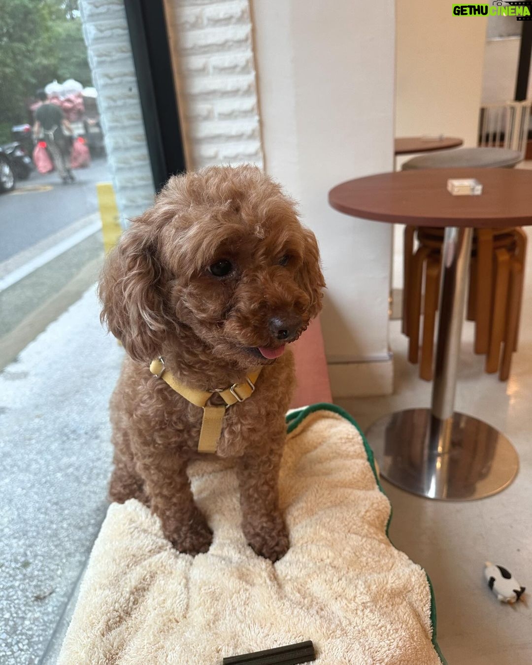 Lee Jin-ah Instagram - 올해는 힘차게 걸어왔던 한해였다 ✨행복한 연말 그리고 행복한 새해가 되기를 💕모두 모두 사랑해요 🤶Happy New Year