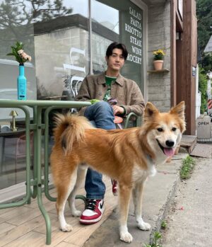 Lee Ki-woo Instagram - 🐕
성인이 되고 나서도 계속 커서 계장신..
부르기 좋게 개장신 개장신 불렀는데
그 녀석도 계속 큰다. 
왜 때문인지는 모르겠으나 계속 크는 게 
우리 집안 내력 같기도 하고…🤔
피 한 방울 안 섞였는데 희한하게 닮아간단 말이지..

이왕 크는 거 왕 커라 왕 귀엽게!!

즐거운 주말 보내세요!!!🙋🏻‍♂️

📸by No.2

#기우리 #개장신 #개와장신 
#그녀석 #시고르테디 #개녀석 #왕크왕귀
#가족 #사지마세요입양하세요 
#adoptdontshop #oneandonly