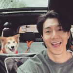 Lee Ki-woo Instagram - 🙋🏻‍♂️🦊 별로 안 닮았습니다만..😅 닮았다 하시니 기분은 좋네요~ 편안한 밤 되세요!! 서울 출동 준비 완료 후 출발전 찰콱! #기우리 #시고르테디 #가족 #브로맨스 #사지마세요입양하세요 #adoptdontshop #oneandonly
