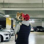 Lee Ki-woo Instagram - 🦊🙋🏻‍♂️ 강아지의 날 기념 어부바둥가둥가둥~ 셔틀 힘들다 언제 이렇게 컸어! #강아지의날 #그녀석과함께 #가족 #사지마세요입양하세요