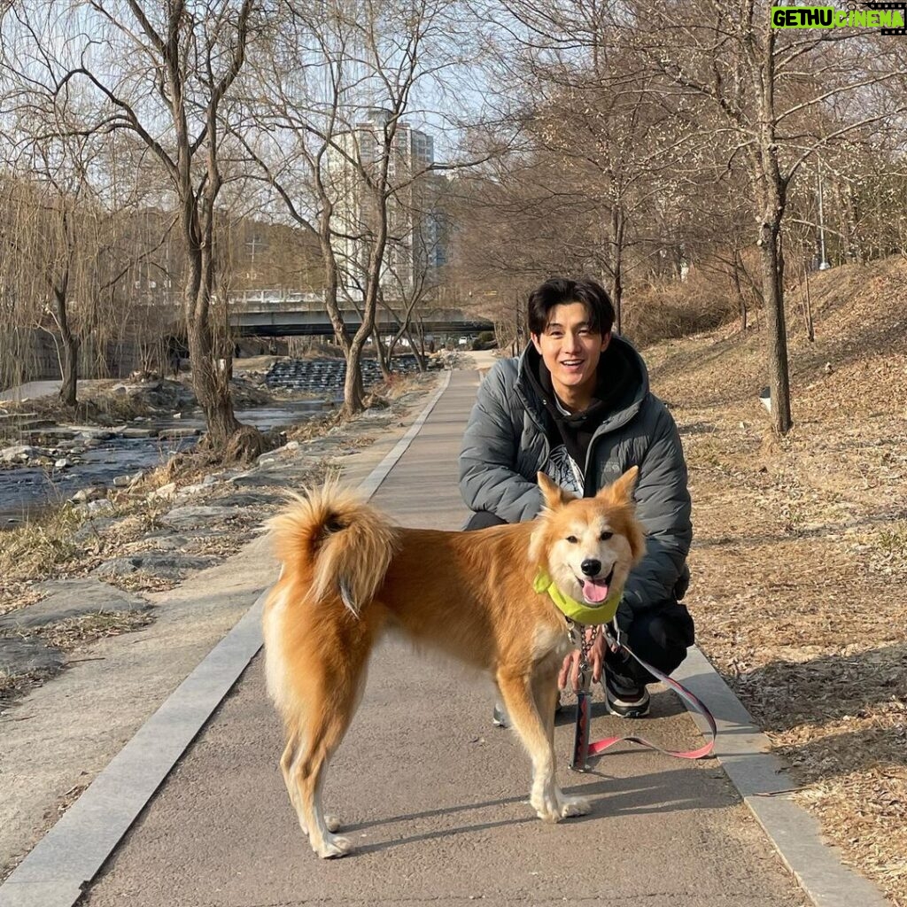 Lee Ki-woo Instagram - 🙋🏻‍♂️🦊 행복은 의외로 가까이에 있다. 3월 부터 5km 씩 걸어보자 쓰레기봉투 들고~ #시고르테디 #기우리 #줍깅 #플로깅 #산책 #브로맨스 #가족