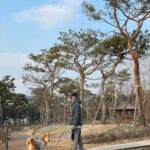 Lee Ki-woo Instagram - 🙋🏻‍♂️🐕 Family!!