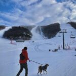 Lee Ki-woo Instagram - ❄️ 앞으로 얼마나 많은 겨울을 함께 보낼 수 있을지 모르겠지만 늘 첫 겨울인 것처럼 크게 설레고 맘껏 즐기고 왕 행복해하자 우리 가족!!! 오늘 썰매는 가장인 내가 끈다🤨 #가족 #반려견동반 #눈놀이 #사지마세요입양하세요 #bettertogether #adoptdontshop