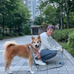 Lee Ki-woo Instagram - 🙋🏻‍♂️🦊 날씨 좋은 금요일!!! 임보 중인 막내 제리도 잘 지내주고 있고 무엇보다 예상치도 못했던 테디의 의젓한 행동 하나하나에 많은 걸 느끼고 배우는 요즘. 나는 어떤 휴먼이 되어야 하는가..🤔 를 생각하게 되는 너무 소중한 기회를 얻은 것 같다. 동물에게 배운다. 고마워 테디! 모두 즐거운 금요일 보내세요!! #기우리 #시고르테디 #특급브로맨스 #남바투티셔츠감사합니다🙋🏻‍♂️ #좋은하루 #동물에게배운다 #사지마세요입양하세요