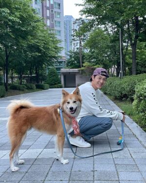 Lee Ki-woo Instagram - 🙋🏻‍♂️🦊
날씨 좋은 금요일!!!
임보 중인 막내 제리도 잘 지내주고 있고
무엇보다 예상치도 못했던 테디의 의젓한 행동
하나하나에 많은 걸 느끼고 배우는 요즘.
나는 어떤 휴먼이 되어야 하는가..🤔
를 생각하게 되는 너무 소중한 기회를 얻은 것 같다.

동물에게 배운다. 고마워 테디!
모두 즐거운 금요일 보내세요!!

#기우리 #시고르테디 #특급브로맨스 
#남바투티셔츠감사합니다🙋🏻‍♂️
#좋은하루 #동물에게배운다 
#사지마세요입양하세요