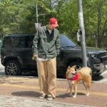 Lee Ki-woo Instagram - 🙋🏻‍♂️ 화창한 화요일~ 즐겁고 행복한 하루 보내세요!! 우리도 알찬 하루 보내자 브라더🐾 #기우리 #시고르테디 #가족 #사지마세요입양하세요 #일상 #ootd #오오테디