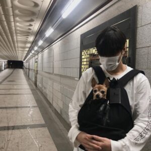 Lee Min-ho Instagram - 천둥번개를 동반한 국지성 호우