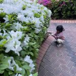 Lee Yoon-ji Instagram - 산책의계절 라쏘,너희의봄