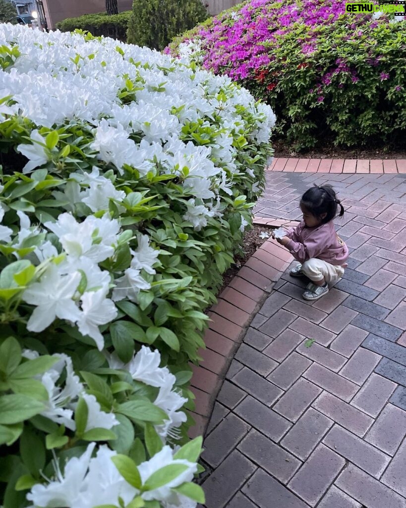 Lee Yoon-ji Instagram - 산책의계절 라쏘,너희의봄