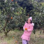 Lee Yoon-ji Instagram - 제주 곰자네귤밭. 라쏘는 곰자투어중 올해마무리로 싱싱귤따먹기ㅡ🍊#내년에도잘부탁해곰자야#대답해봐#징글징글하니우리