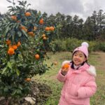 Lee Yoon-ji Instagram - 제주 곰자네귤밭. 라쏘는 곰자투어중 올해마무리로 싱싱귤따먹기ㅡ🍊#내년에도잘부탁해곰자야#대답해봐#징글징글하니우리