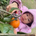 Lee Yoon-ji Instagram - 제주 곰자네귤밭. 라쏘는 곰자투어중 올해마무리로 싱싱귤따먹기ㅡ🍊#내년에도잘부탁해곰자야#대답해봐#징글징글하니우리