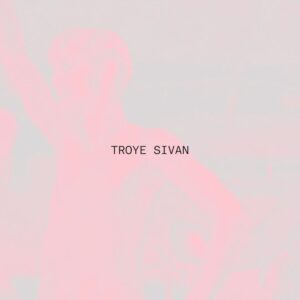 Leland Instagram - my official remix of RUSH by @troyesivan is out now!  it’s funky, sweaty and ready to be added to your playlist!