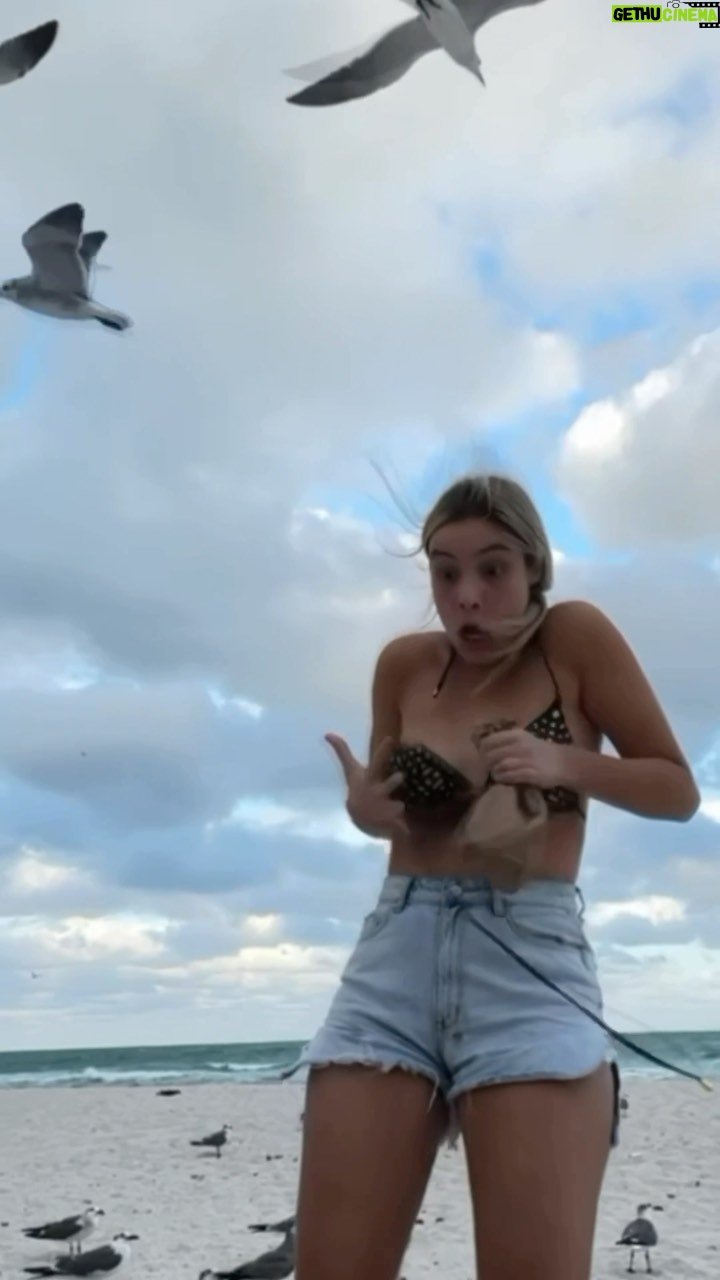 Lele Pons Instagram - The bird is a paid actorπππππ (WAIT FOR IT) Inspired by @hannahstocking