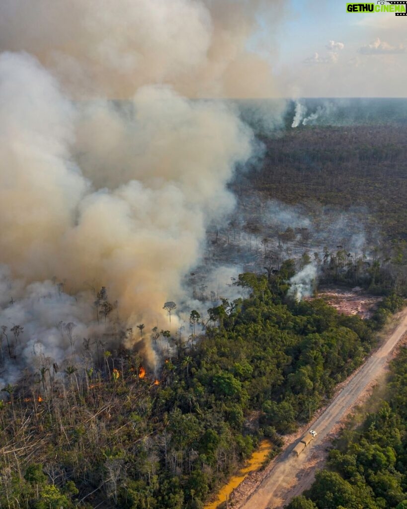 Leonardo DiCaprio Instagram - A super El Niño and illegal cattle ranching have combined to cause unprecedented fires across the Brazilian Amazon. One of the longest droughts ever recorded, along with heavy deforestation and degradation from 2019-2022, have created unusually dry conditions that make fires burn faster and hotter. Fires in the Amazon rainforest are not natural—almost all have been set illegally by cattle ranchers to clear land for livestock. The intense drought conditions and fires have threatened wildlife and the ecosystem, in addition to the livelihoods, health, and future of Indigenous territories. To better combat these fires, the Brazilian government has increased brigades of firefighters, troops and volunteers, who have been working night and day to monitor fires and control conditions. Their tireless work has helped to protect hundreds of thousands of Indigenous peoples and local communities facing crisis. @rewild, alongside the Protecting Our Planet Challenge partners (including @bezosearthfund, @moorefound, and the Bobolink Foundation) assisted these efforts by providing support to help improve and expand the detection and prediction systems for fire outbreaks and deforestation. Photo credits: @banksiafilms & @marcosamend - Taken September 26, 2023 in Borba, Amazonas