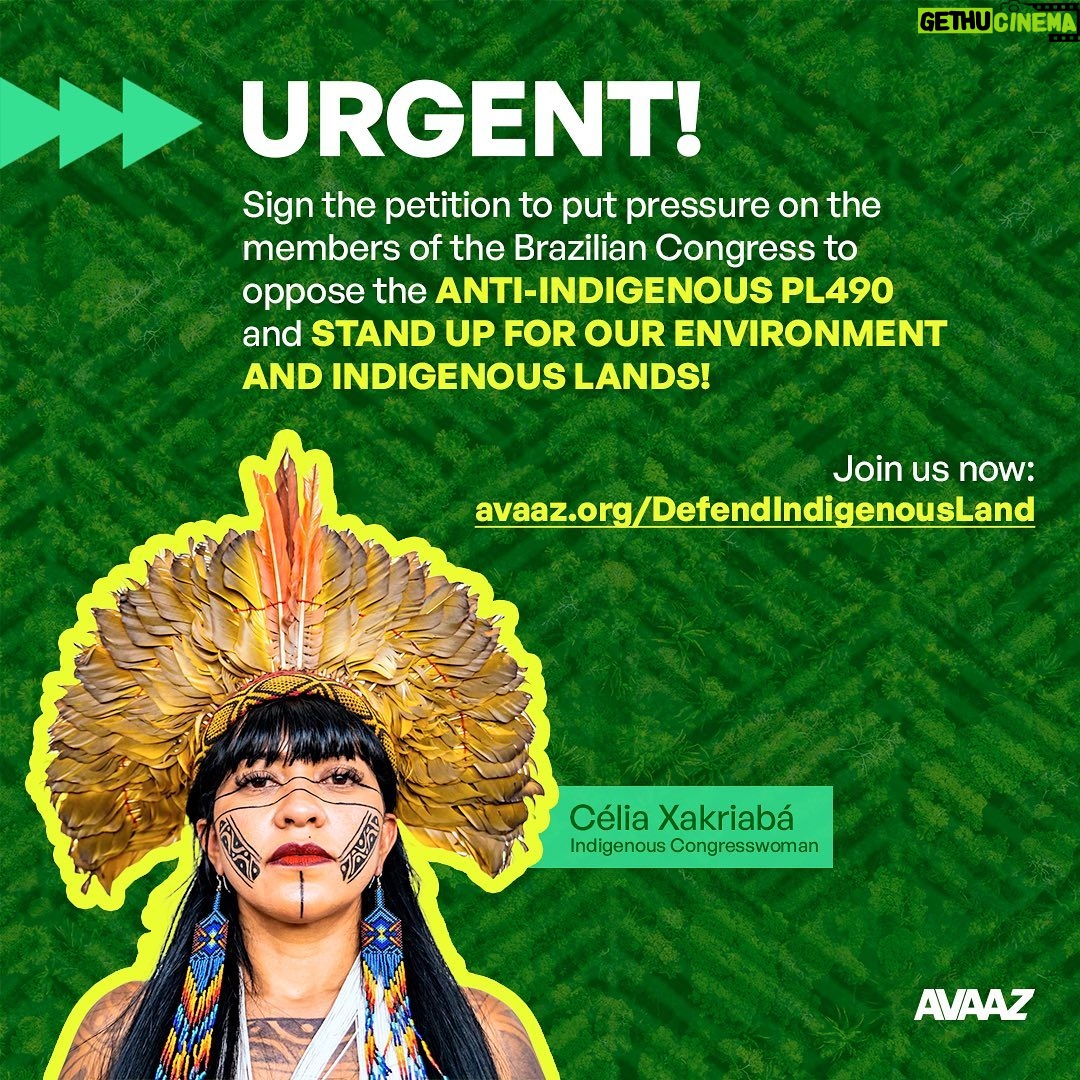 Leonardo DiCaprio Instagram - Please join me in supporting Brazilian Indigenous leader @celia.xakriaba who is asking fellow Brazilian Congress members to oppose the anti-Indigenous bill PL490. The key vote is tomorrow; please consider signing her petition at the #LinkInBio. ——— Junte-se a mim no apoio à liderança indígena @celiaxakriaba, que está pedindo aos colegas membros do Congresso brasileiro que se oponham ao projeto de lei anti-indígena PL490. #PL490NÃO A votação do projeto é amanhã. Por favor, assine a petição.