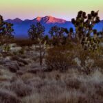 Leonardo DiCaprio Instagram - Last month, President Biden declared Avi Kwa Ame in Nevada --also known as Spirit Mountain-- a national monument. For decades, Indigenous tribes in the region advocated for the federal preservation of the landmark, which is culturally and spiritually significant and home to critical desert biodiversity. These new federal protections prevent any future industrial and manufacturing development on the sacred site and is an important move by the administration to strengthen collaboration with Indigenous communities. Learn more from @reviewjournal at the link in bio. 📷: @reviewjournal