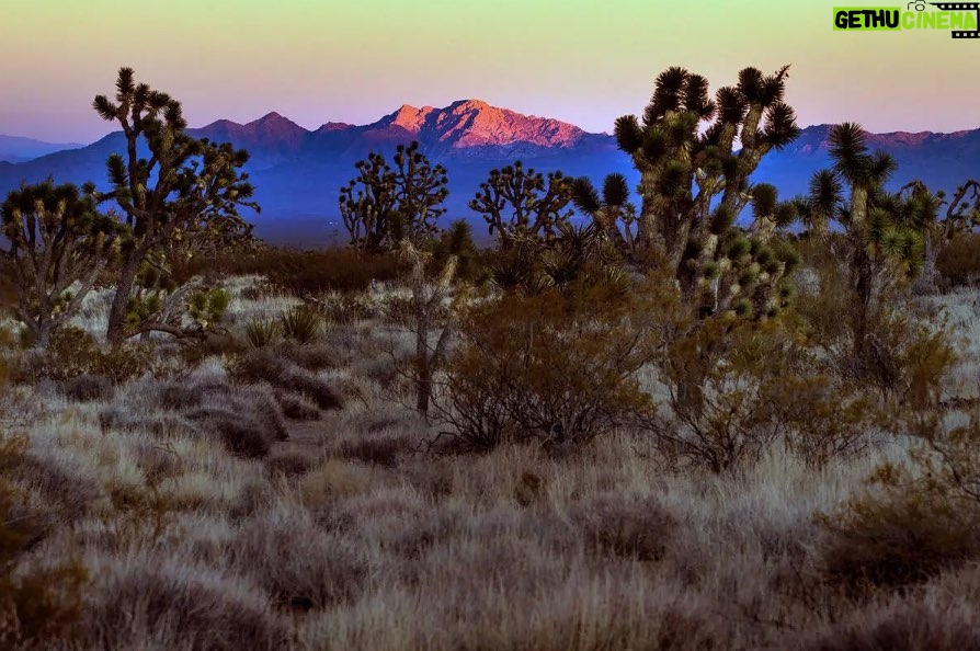 Leonardo DiCaprio Instagram - Last month, President Biden declared Avi Kwa Ame in Nevada --also known as Spirit Mountain-- a national monument. For decades, Indigenous tribes in the region advocated for the federal preservation of the landmark, which is culturally and spiritually significant and home to critical desert biodiversity. These new federal protections prevent any future industrial and manufacturing development on the sacred site and is an important move by the administration to strengthen collaboration with Indigenous communities. Learn more from @reviewjournal at the link in bio. 📷: @reviewjournal