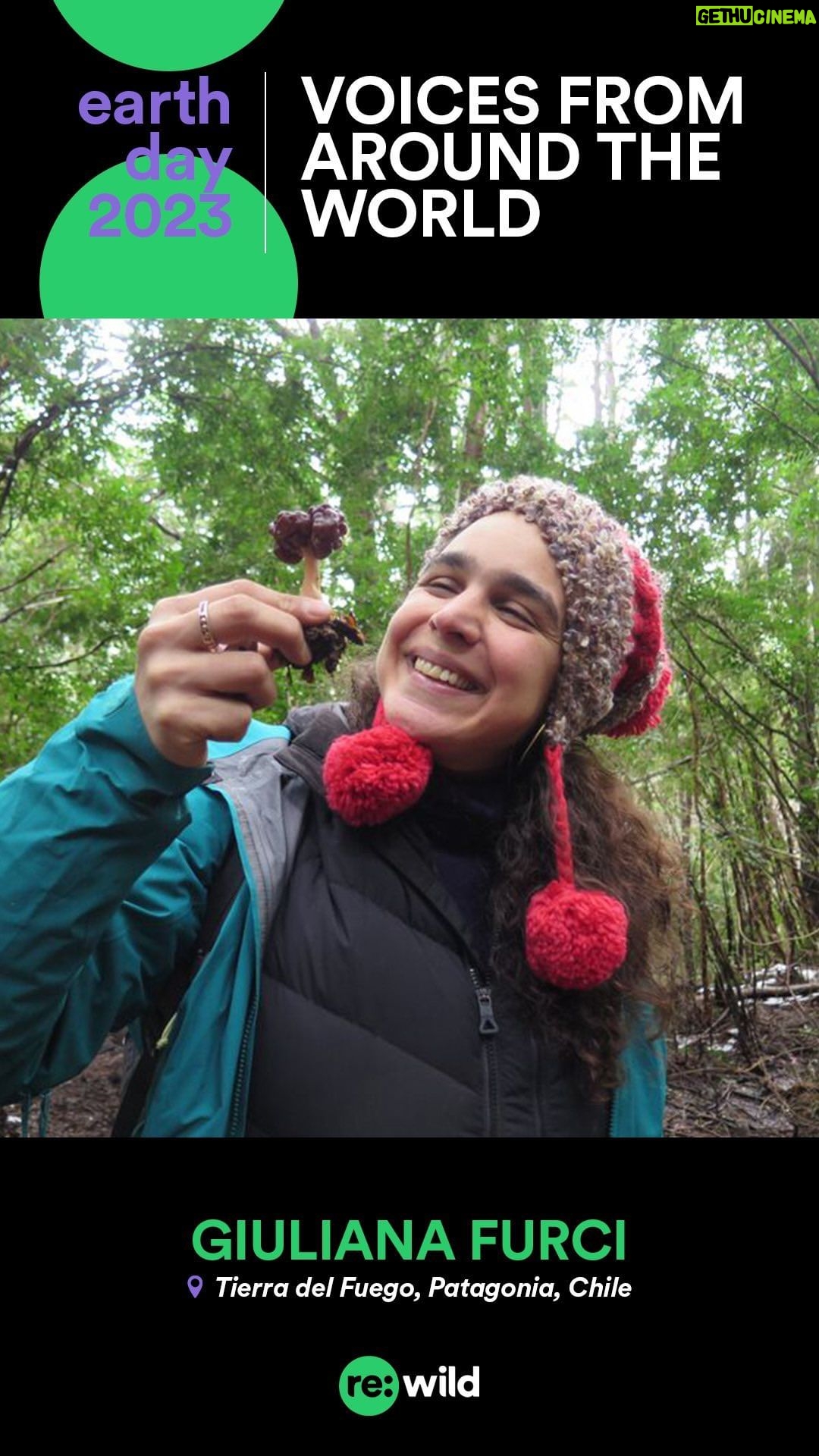 Leonardo DiCaprio Instagram - Fungi are their own kingdom of life and mycologists believe there could be as many as 3.8 million fungi species on Earth. Despite being a critical part of the wild, only about 8% of fungi have been documented and fungi represent 0.2% of our conservation priorities. @giulifungi and @fungifoundation are working to make sure Flora, Fauna and Funga are integrated and used by global educational and environmental institutions and organizations to refer to macroscopic life on Earth. For #EarthDay2023, commit to learning more about fungi and their important impact on the environment.