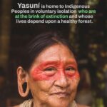 Leonardo DiCaprio Instagram - Yasuní National Park is a global biodiversity hotspot and home to some of the last Indigenous peoples living in voluntary isolation—the Tagaeri, Taromenane and Dugakaeri. Yet this irreplaceable place and the people and wildlife living here are threatened by the fossil fuel industry. On August 20th, 2023, the people of Ecuador have an historic opportunity to safeguard a significant portion of Yasuní rainforest. With this first-of-its-kind referendum worldwide, Ecuador could become an example in democratizing climate politics, offering voters the chance to vote not just for the forest but also for Indigenous rights, our climate, and the well-being of our planet. Stand alongside Yasuní and its Indigenous communities in this historic referendum by sharing this important message. For more information follow @sialyasuni and their Indigenous youth ally @jovenes_amazonicos_ec #YesToYasuní #YasuníITT #SíAlYasuní
