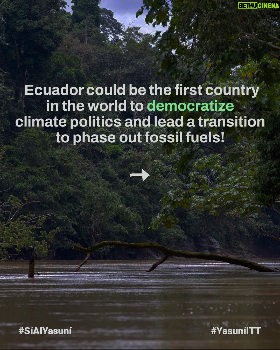 Leonardo DiCaprio Instagram - Yasuní National Park is a global biodiversity hotspot and home to some of the last Indigenous peoples living in voluntary isolation—the Tagaeri, Taromenane and Dugakaeri. Yet this irreplaceable place and the people and wildlife living here are threatened by the fossil fuel industry. On August 20th, 2023, the people of Ecuador have an historic opportunity to safeguard a significant portion of Yasuní rainforest. With this first-of-its-kind referendum worldwide, Ecuador could become an example in democratizing climate politics, offering voters the chance to vote not just for the forest but also for Indigenous rights, our climate, and the well-being of our planet. Stand alongside Yasuní and its Indigenous communities in this historic referendum by sharing this important message. For more information follow @sialyasuni and their Indigenous youth ally @jovenes_amazonicos_ec #YesToYasuní #YasuníITT #SíAlYasuní