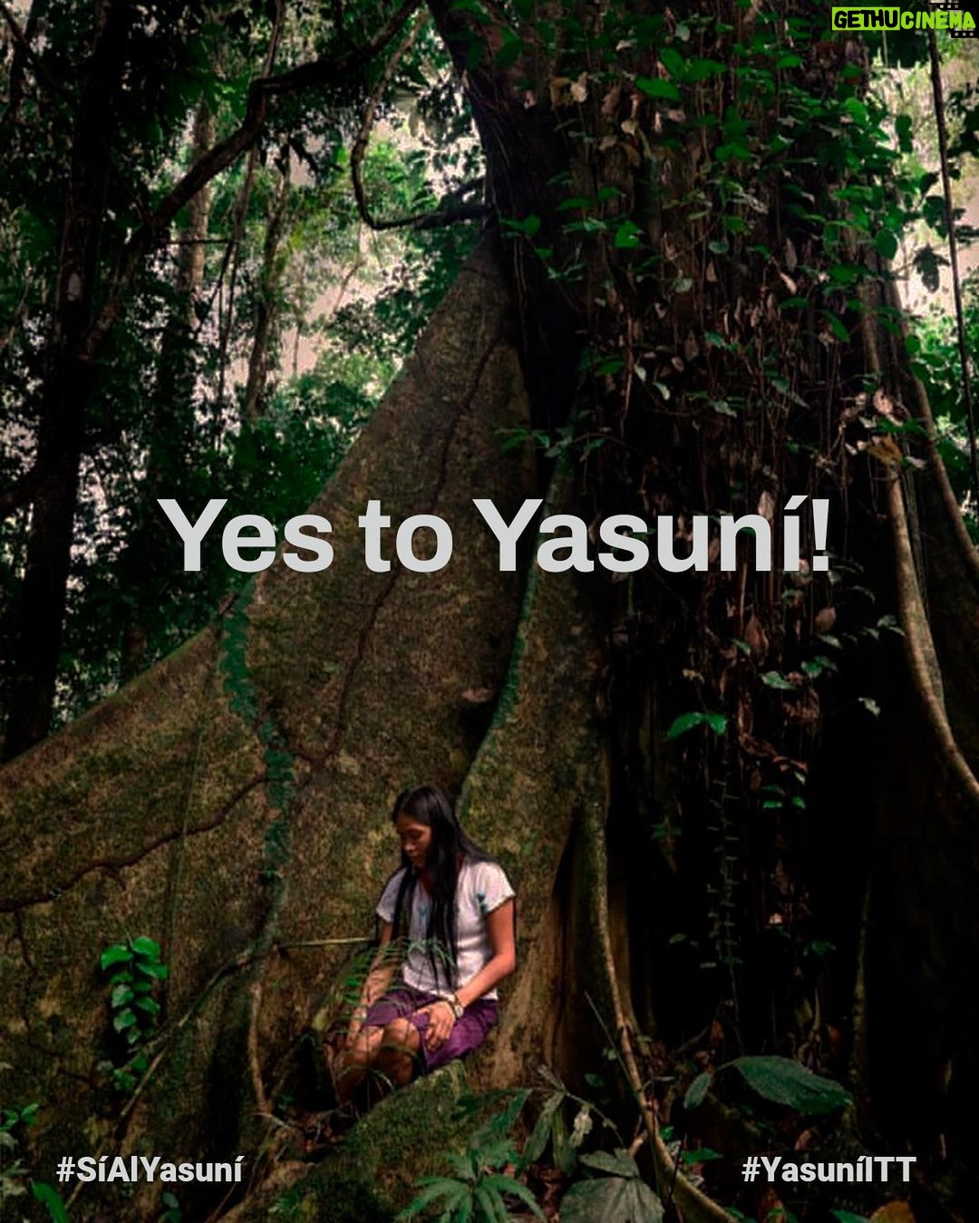 Leonardo DiCaprio Instagram - Yasuní National Park is a global biodiversity hotspot and home to some of the last Indigenous peoples living in voluntary isolation—the Tagaeri, Taromenane and Dugakaeri. Yet this irreplaceable place and the people and wildlife living here are threatened by the fossil fuel industry. On August 20th, 2023, the people of Ecuador have an historic opportunity to safeguard a significant portion of Yasuní rainforest. With this first-of-its-kind referendum worldwide, Ecuador could become an example in democratizing climate politics, offering voters the chance to vote not just for the forest but also for Indigenous rights, our climate, and the well-being of our planet. Stand alongside Yasuní and its Indigenous communities in this historic referendum by sharing this important message. For more information follow @sialyasuni and their Indigenous youth ally @jovenes_amazonicos_ec #YesToYasuní #YasuníITT #SíAlYasuní