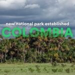 Leonardo DiCaprio Instagram - A new national park has been established in Colombia. At more than 168,000 acres, the National Natural Park Serrania de Manacacías will safeguard six unique ecosystems and boundless wildlife, including Ocelots, South American Tapirs, South American Coatis, and a quarter of all known bird species in Colombia. This new park will also protect a critical wildlife corridor and will connect the Orinoquía—the continent’s largest tropical savanna—to the Amazon, the largest river basin and rainforest on Earth. The creation of the National Natural Park Serrania de Manacacías highlights Colombia’s commitment to the global goal of protecting 30% of the planet by 2030, to the benefit of all life on Earth. This victory is the result of the incredible combined efforts of Colombia’s National Parks Agency (PNN), international and local environmental organizations, civil society organizations, philanthropists, artists, and government institutions. The project originated with the hard work of local partners; Jack Dangermond, founder of ESRI (@esrigram); Wyss Foundation; Haley Mellin, founder of Art into Acres; artist Carol Bove; and the David Zwirner Gallery (@davidzwirner); in addition to the financial support of Re:wild through our Amazon Forest Fund. Critical partners on this project include The Nature Conservancy (@nature_org), the Institute of Investigation of Biological Resources Alexander von Humboldt (@instituto_humboldt), the Institute of Natural Sciences of the National University of Colombia, Wildlife Conservation Society (@thewcs), WWF (@wwf), the Corporation for the Sustainable Development of the La Macarena Special Management Area (Cormacarena), and the Alliance for the Conservation of Biodiversity, Territory and Culture. Learn more at the #linkinbio Photo credit: Rodrigo Durán Bahamón PNN #ArtIntoAcres #Colombia #ProtectedAreas #Biodiversity #Conservation #Rewild