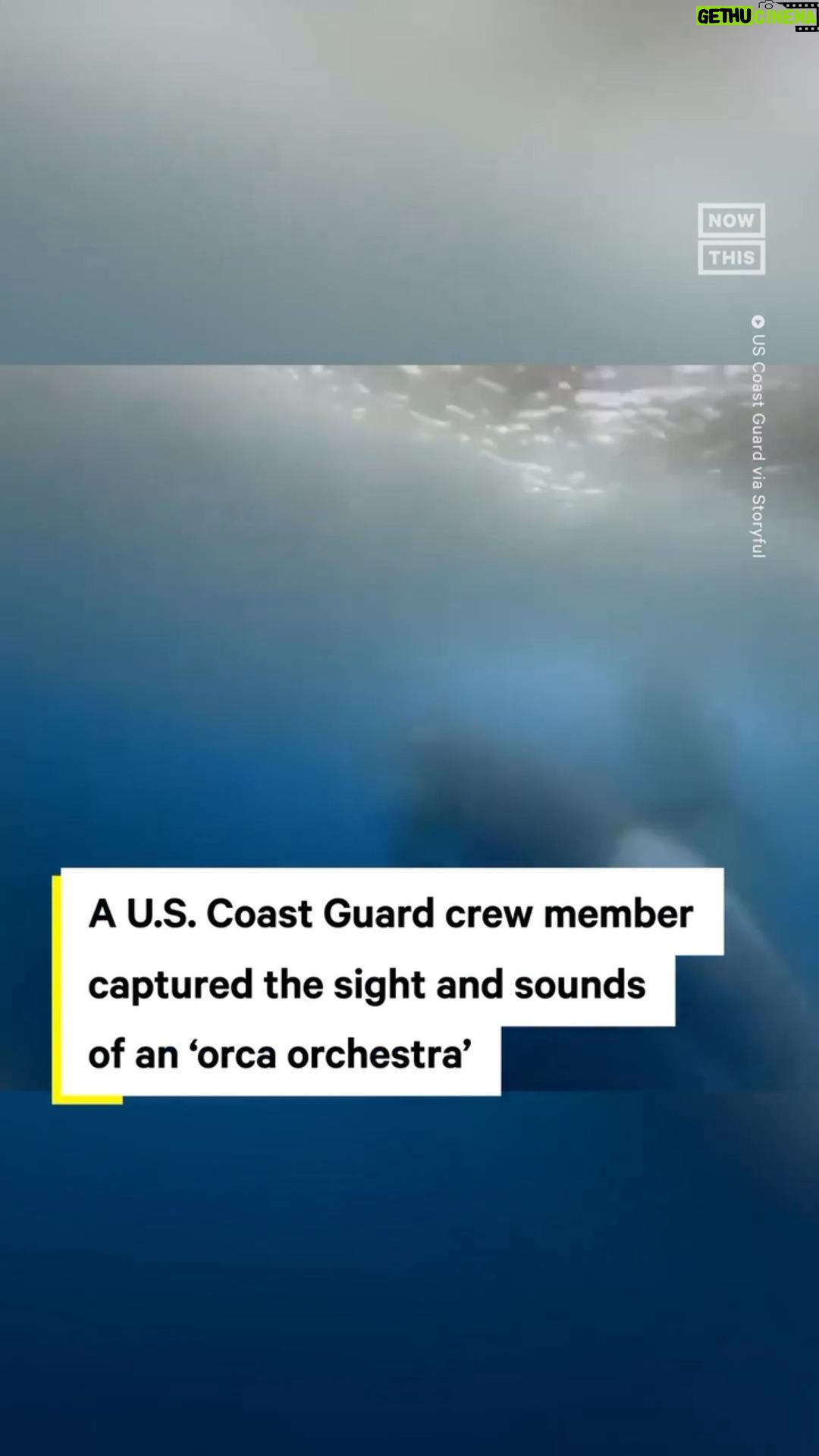 Leonardo DiCaprio Instagram - Repost from @nowthisearth Members of the U.S. Coast Guard caught this up-close video and audio footage of an orca pod in waters off the coast of Antarctica last month. ‘Finally got a good recording of the orchestra,’ USCG Fireman Niall Shannon wrote on Instagram. #orcas #orcasinthewild #animals #antarctica