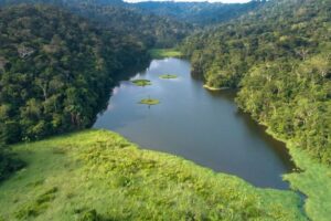 Leonardo DiCaprio Instagram - Thanks to the incredible leadership of Ecuador’s provincial government of Morono Santiago and four Indigenous nationalities, the country has established one of the largest nature reserves in the Amazon region this month. The Tarímiat Pujutaí Nuṉka Reserve (which translates to ‘Territory for Well-being’ in the Shuar Indigenous language) covers more than 3 million acres of the Andean and Amazonian forests in Ecuador.
 
The new reserve is in the Morona Santiago province, which includes the territories of the Shuar and Achuar Indigenous communities, who have guarded these forests for thousands of years. Its creation recognizes the territorial rights of the Shaur and Achuar peoples and allows them to protect and manage the area according to their collective traditions, while supporting sustainable livelihoods.

The reserve overlaps with the Cordillera de Kutukú, Cordillera del Condor, Concha and Territorio Achuar Key Biodiversity Areas, places that are critical to the planet’s persistence of biodiversity. The region is home to more than 1,000 bird species, the Near Threatened Jaguar, and the Vulnerable Spectacled Bear and Lowland Tapir. It is also one of the country’s wildlands with the most plant species found nowhere else in the world.
 
In addition to the Shuar and Achuar communities and @prefecturamoronasantiago, this victory was made possible by the technical assistance of @naturecultureinternational, and the financial support of @andesamazonfund, Wyss Foundation, Art into Acres, @bezosearthfund, NICFI, NORAD, and @rewild.
 
 
📷: Naturaleza and Cultura Internacional NCI