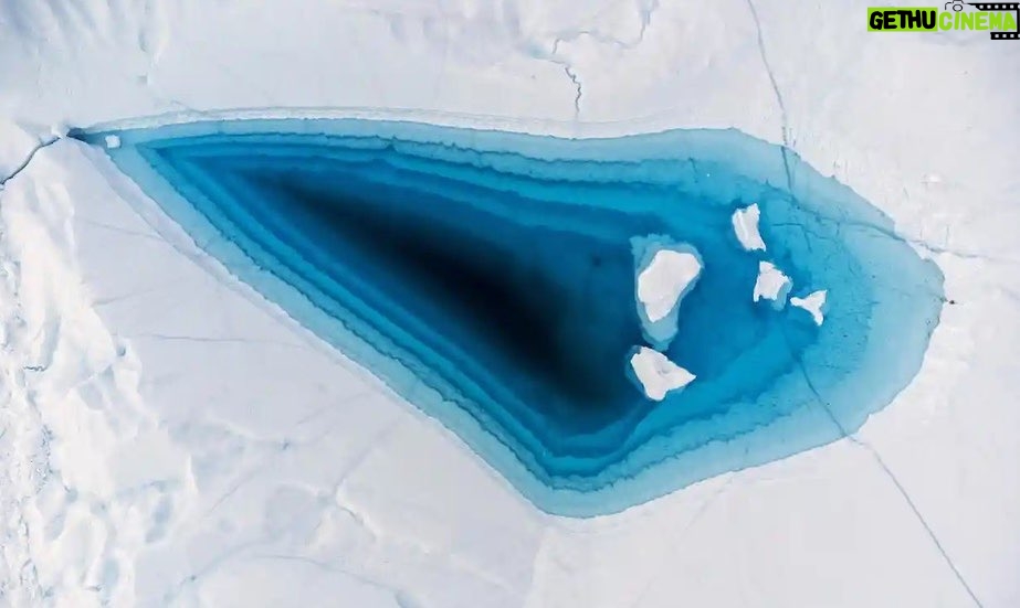 Leonardo DiCaprio Instagram - The speed at which glaciers around the world are melting is alarming. Alaska's Northwestern Glacier has receded around six miles from the 1940s until 2005 and will continue to do so at a rapid rate. This trend solidifies the fact that the scale and impacts of glacial loss are greater than previously thought, and --according to new research-- half the planet's glaciers will melt by 2100. While it is imperative that humanity sticks to the goals outlined in the Paris Climate Agreement, slowing down global warming and biodiversity loss has never been more important, as the rate at which the planet is heating up has a significant impact on the speed at which the glaciers melt. @guardian has more, click the link in bio to read. π·: Odd Andersen/@guardian