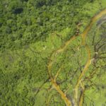 Leonardo DiCaprio Instagram - The Congo Basin is one of the most important wildlands on the planet, hosting about one-fifth of all Earth’s species. The Congo Basin is also the planet's largest remaining carbon sink; an ecosystem that excels at absorbing carbon from the atmosphere. Carbon sinks are essential in helping to prevent some of the worst impacts of climate change. However, the Congo Basin has seen an uptick in deforestation since 2020, which is especially concerning, not only because of its important role in sequestering carbon and harboring biodiversity but because the Congo Basin has never experienced this level of human activity. @treehuggerdotcom has more on the threat to the Congo Basin, which you can read by clicking the link in bio. 📷: Guenter Guni