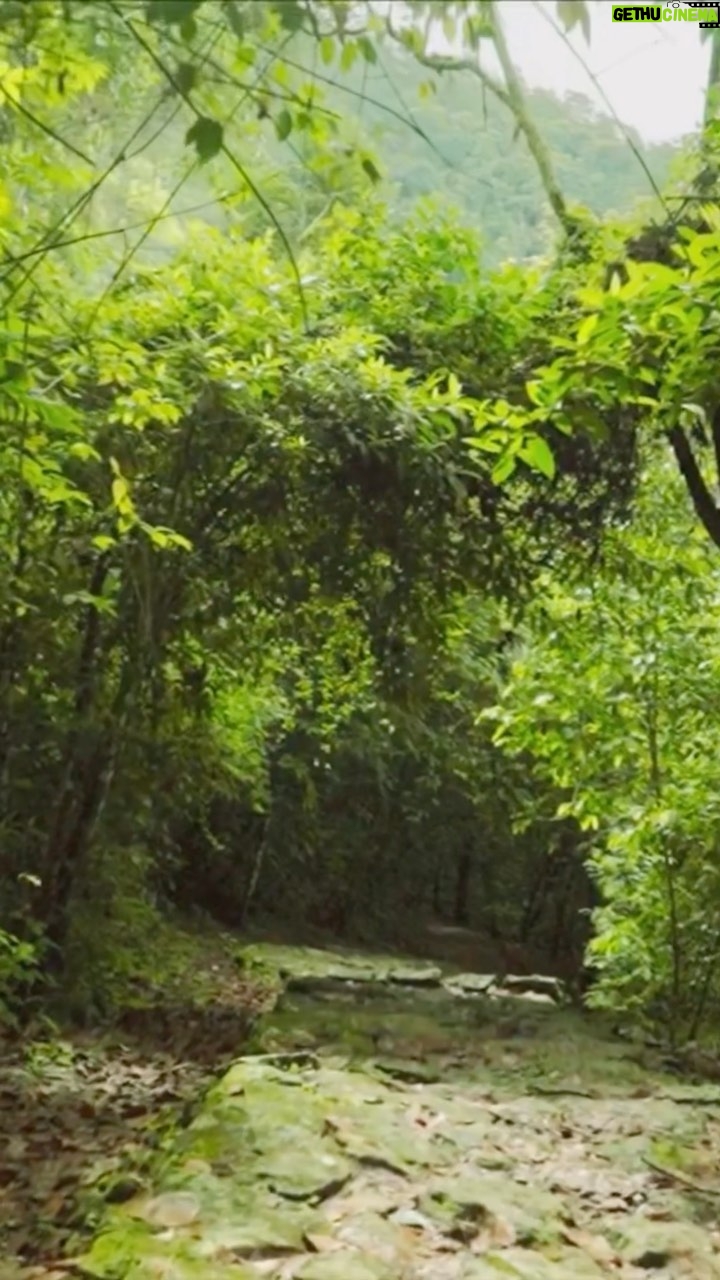 Leonardo DiCaprio Instagram - Repost from @bezosearthfund • “We will not be able to solve the climate dilemma if we don’t protect nature.” As Managing Director and Leader for Nature Solutions at the Bezos Earth Fund, Cristián Samper focuses on: 🌊 Protecting the natural ecosystems that remain, 🌳 Restoring the vital landscapes that we’ve lost, and 🌾 Transforming food systems. Growing up in the tropics instilled Cristián’s fascination for the diversity of life. It inspired him to pursue a career conserving species and wild places, especially since many of the places he once visited to study wildlife have since been destroyed. To protect and restore these critical ecosystems, we must support the efforts of Indigenous Peoples and local communities – work that Cristián helps champion for the Earth Fund. As he notes, “They need to be our partners and part of the solution.” To learn more about Cristián’s work at the Earth Fund, visit the link in our bio. #NaturePositive #ForNature #ForOurPlanet #BezosEarthFund