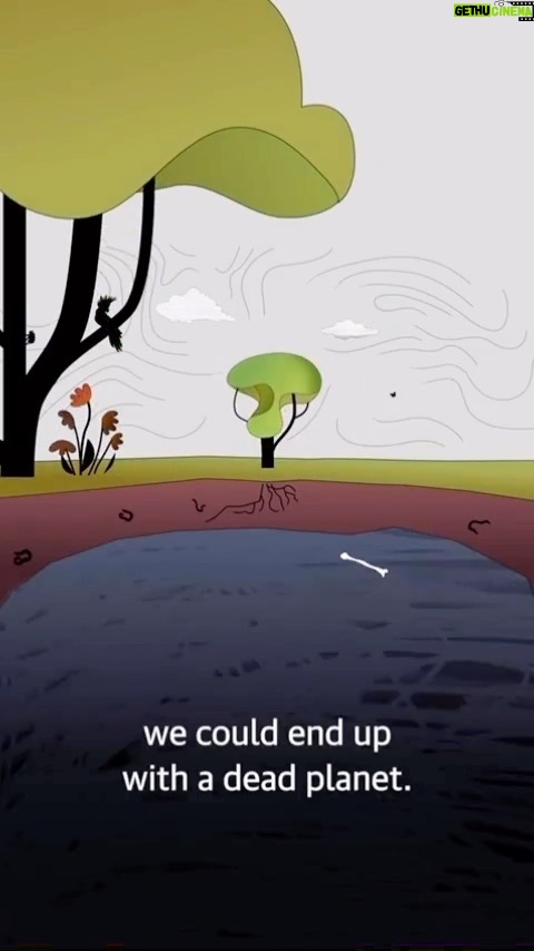 Leonardo DiCaprio Instagram - Repost from @guardian • Nature is under threat as never before, but what does that actually mean? Planet Earth is enduring the largest loss of life since the time of the dinosaurs, according to scientists. This loss is being driven by human behaviour, and governments are split on how to respond. Our Age of Extinction reporter Phoebe Weston explains the five ways we’re killing nature, how the climate crisis is inextricably linked and why the Cop15 summit - which is taking place in Canada right now - is a once-in-a-decade chance to stop the loss of biodiversity. #Biodiversity #Nature #Plants #Animals #Climate #Environment #LearnOnTikTok